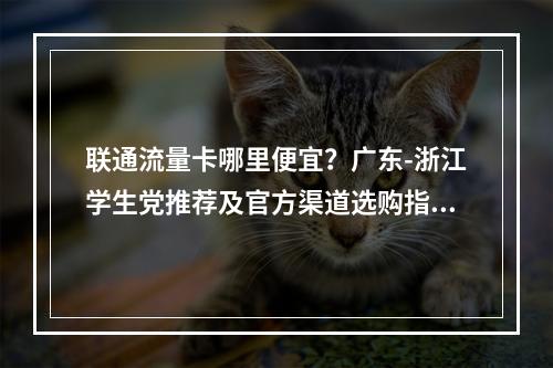 联通流量卡哪里便宜？广东-浙江学生党推荐及官方渠道选购指南