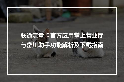 联通流量卡官方应用掌上营业厅与岱川助手功能解析及下载指南