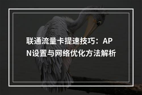 联通流量卡提速技巧：APN设置与网络优化方法解析