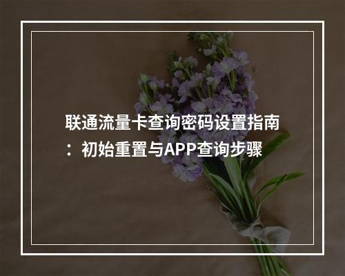 联通流量卡查询密码设置指南：初始重置与APP查询步骤