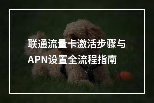 联通流量卡激活步骤与APN设置全流程指南