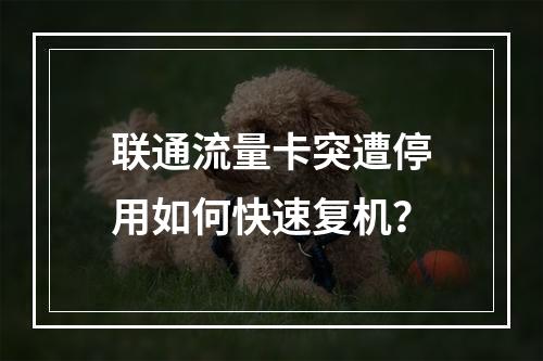 联通流量卡突遭停用如何快速复机？