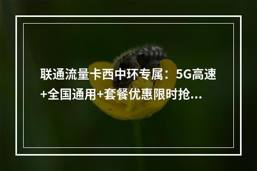 联通流量卡西中环专属：5G高速+全国通用+套餐优惠限时抢购