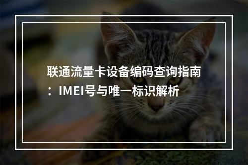联通流量卡设备编码查询指南：IMEI号与唯一标识解析