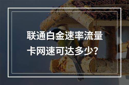 联通白金速率流量卡网速可达多少？