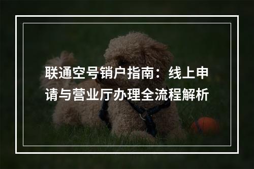 联通空号销户指南：线上申请与营业厅办理全流程解析