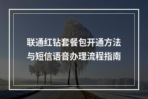 联通红钻套餐包开通方法与短信语音办理流程指南