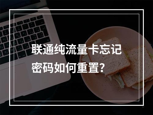联通纯流量卡忘记密码如何重置？