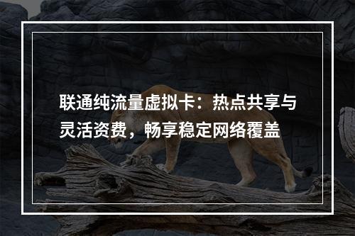 联通纯流量虚拟卡：热点共享与灵活资费，畅享稳定网络覆盖