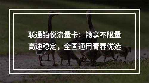 联通铂悦流量卡：畅享不限量高速稳定，全国通用青春优选