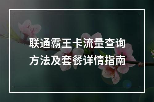 联通霸王卡流量查询方法及套餐详情指南
