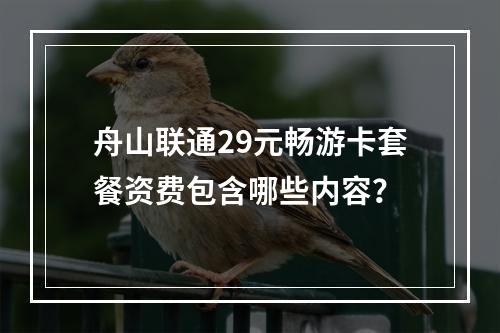 舟山联通29元畅游卡套餐资费包含哪些内容？