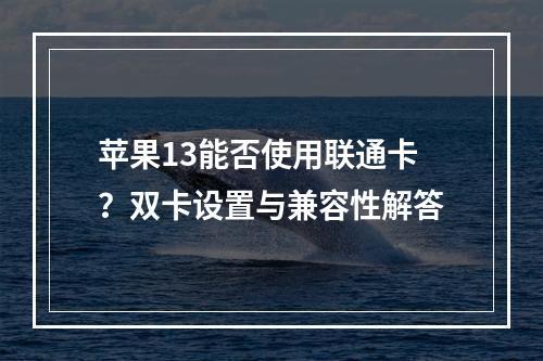 苹果13能否使用联通卡？双卡设置与兼容性解答