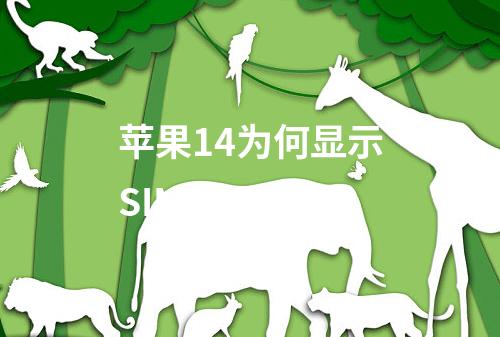 苹果14为何显示SIM卡不支持？