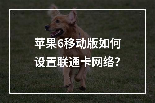 苹果6移动版如何设置联通卡网络？