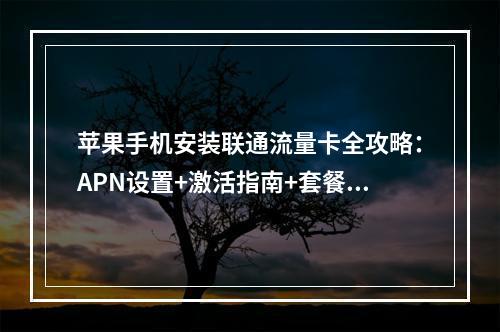 苹果手机安装联通流量卡全攻略：APN设置+激活指南+套餐推荐