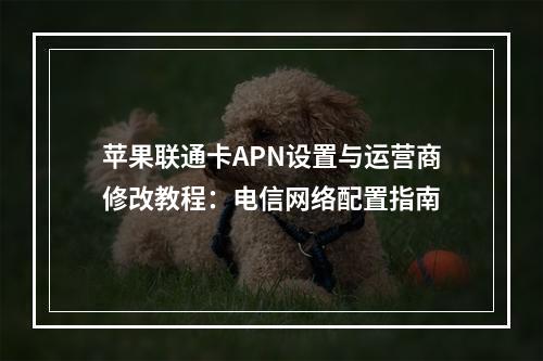 苹果联通卡APN设置与运营商修改教程：电信网络配置指南
