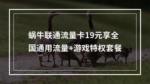 蜗牛联通流量卡19元享全国通用流量+游戏特权套餐