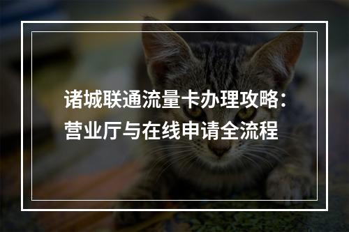 诸城联通流量卡办理攻略：营业厅与在线申请全流程