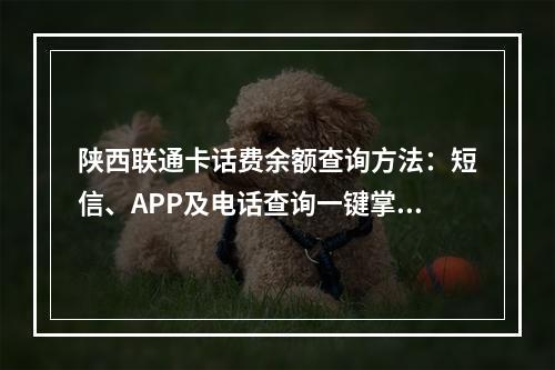 陕西联通卡话费余额查询方法：短信、APP及电话查询一键掌握