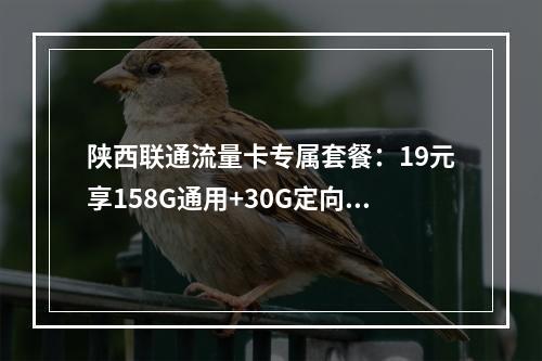 陕西联通流量卡专属套餐：19元享158G通用+30G定向流量