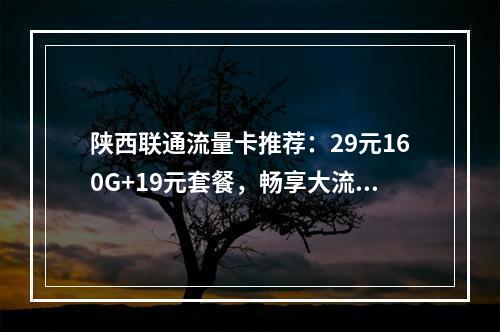 陕西联通流量卡推荐：29元160G+19元套餐，畅享大流量