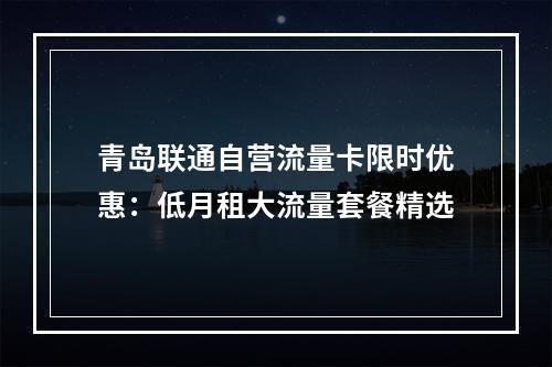 青岛联通自营流量卡限时优惠：低月租大流量套餐精选