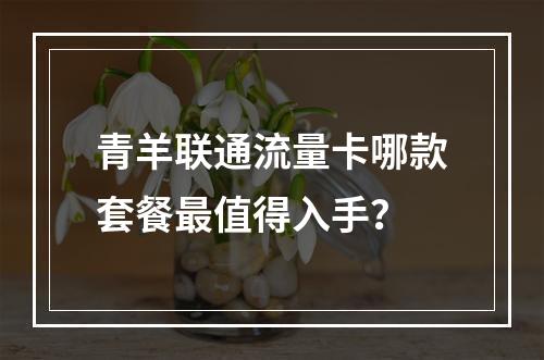 青羊联通流量卡哪款套餐最值得入手？