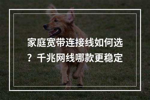 家庭宽带连接线如何选？千兆网线哪款更稳定