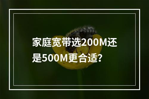 家庭宽带选200M还是500M更合适？
