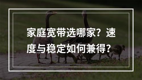家庭宽带选哪家？速度与稳定如何兼得？