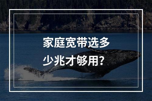 家庭宽带选多少兆才够用？