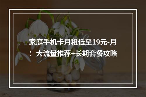 家庭手机卡月租低至19元-月：大流量推荐+长期套餐攻略