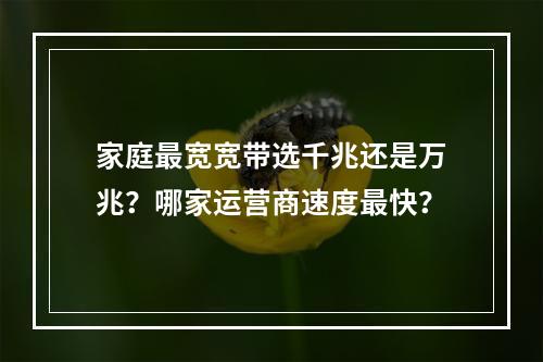 家庭最宽宽带选千兆还是万兆？哪家运营商速度最快？