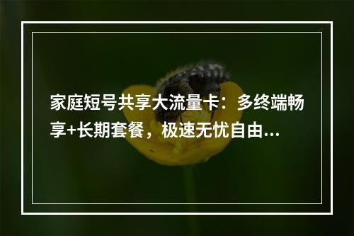 家庭短号共享大流量卡：多终端畅享+长期套餐，极速无忧自由行