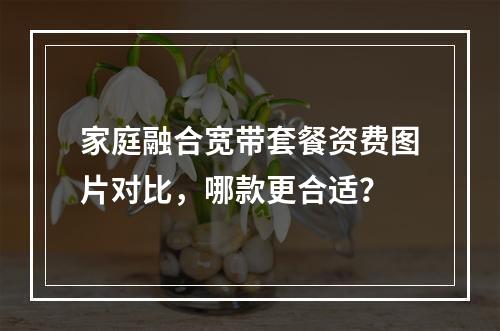 家庭融合宽带套餐资费图片对比，哪款更合适？
