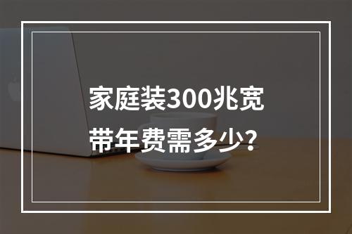 家庭装300兆宽带年费需多少？