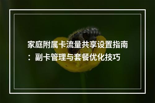 家庭附属卡流量共享设置指南：副卡管理与套餐优化技巧