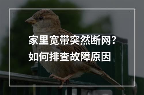家里宽带突然断网？如何排查故障原因