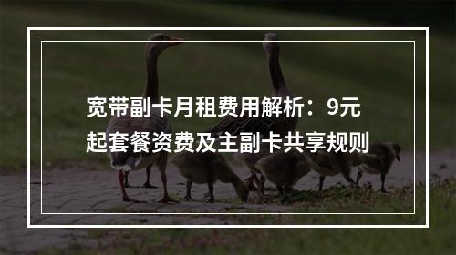 宽带副卡月租费用解析：9元起套餐资费及主副卡共享规则