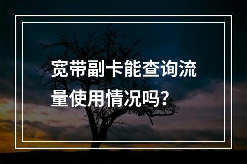 宽带副卡能查询流量使用情况吗？