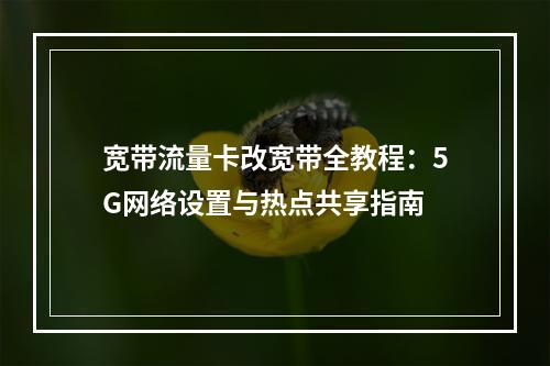 宽带流量卡改宽带全教程：5G网络设置与热点共享指南
