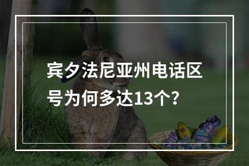 宾夕法尼亚州电话区号为何多达13个？
