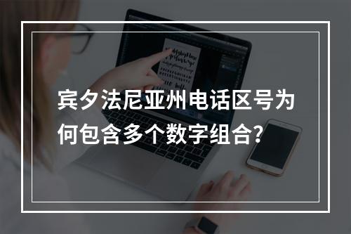 宾夕法尼亚州电话区号为何包含多个数字组合？