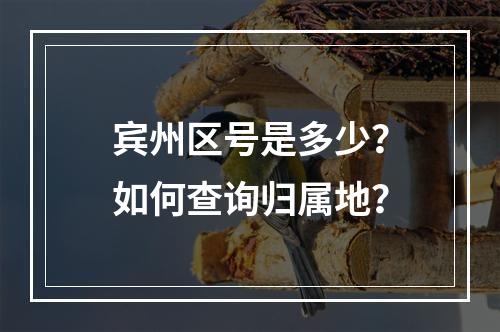 宾州区号是多少？如何查询归属地？