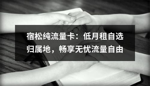 宿松纯流量卡：低月租自选归属地，畅享无忧流量自由