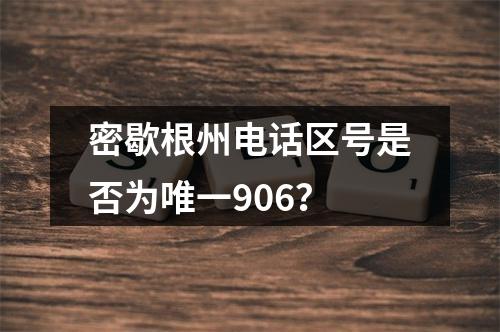 密歇根州电话区号是否为唯一906？