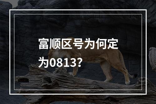富顺区号为何定为0813？