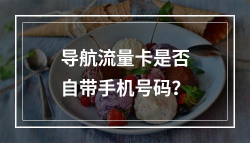 导航流量卡是否自带手机号码？