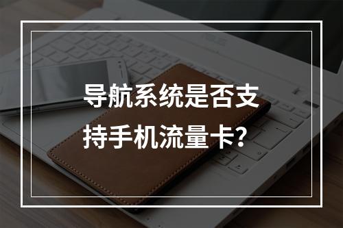 导航系统是否支持手机流量卡？